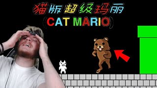 i raged so hard i almost PASSED OUT  CAT MARIO [upl. by Kabob237]