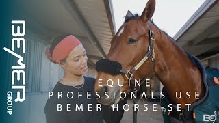 Review on Equine Therapy Products BEMER Horse Set [upl. by Eladnwahs]