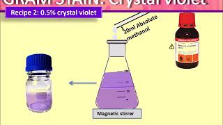 Gram stain Preparing Crystal Violet [upl. by Aoket768]