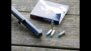 CCI 22 LR Shotshell Ammo Test [upl. by Slaohcin]