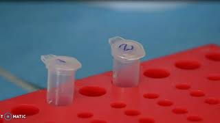 Plant DNA extraction  CTAB Method [upl. by Decca721]