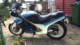 Suzuki RG 250 Gamma [upl. by Lihkin439]