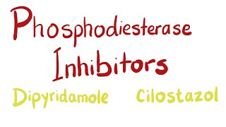 Phosphodiesterase PDE Inhibitors [upl. by Zinah268]