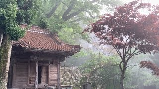 SHIKOKU 88 TEMPLES long version [upl. by Cerelia]