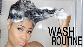 Natural Hair  WASH DAY ROUTINE Start to Finish [upl. by Anawahs]