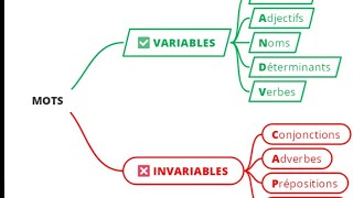 Les mots variables et invariables [upl. by Nyrahs]