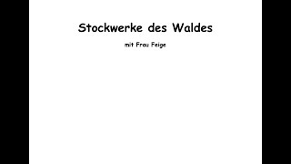 Stockwerke des Waldes [upl. by Costa]