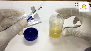 How to perform HCG Pregnancy test at home [upl. by Penrose]