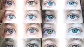 Color Contacts All 12 Freshlooks Color Contact Lenses [upl. by Hackney787]