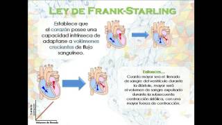 Ley de Franck Starling [upl. by Eikcuhc]