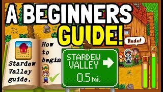 THE ULTIMATE STARDEW VALLEY BEGINNER GUIDE  Starter Tips amp Tricks [upl. by Aierbma]