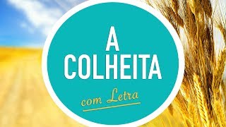 A COLHEITA  CD JOVEM  MENOS UM [upl. by Eladal544]