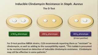 Antibiotic Resistance Antibiotics  Lecture 9 [upl. by Katya754]