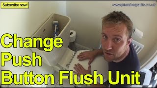 HOW TO CHANGE A PUSH BUTTON FLUSH UNIT  Plumbing Tips [upl. by Oinotnas]