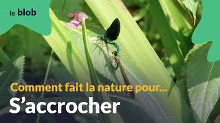 S’accrocher  Les nanotechnologies du vivant [upl. by Vernen971]