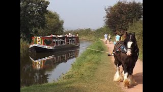 The Horse Drawn Barge Tiverton Devon [upl. by Dalt119]