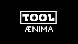 Tool  Aenima  8 Bits [upl. by Flss644]