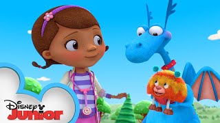 Go Pet Rescue Team  Doc McStuffins  Disney Junior [upl. by Geri425]