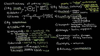 BIOCHEM 16  Protein Classifications and Common Examples [upl. by Cyndy]