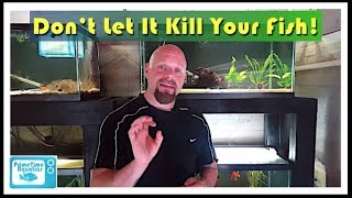 How to Lower Nitrites in an Aquarium [upl. by Aerdnas]