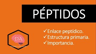 PÉPTIDOS enlace peptídico Bioquímica fácil y sencilla [upl. by Refitsirhc996]