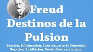 Freud Destinos de la Pulsion [upl. by Eyk]