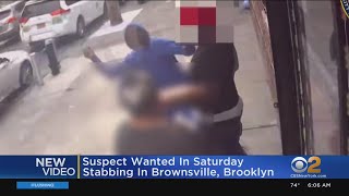 Stabbing Caught On Camera In Brooklyn [upl. by Amerigo]