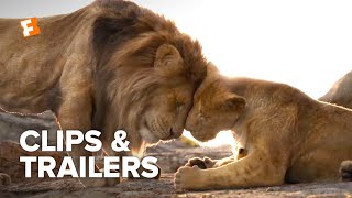 The Lion King ALL Clips  Trailers 2019  Fandango Family [upl. by Munford425]