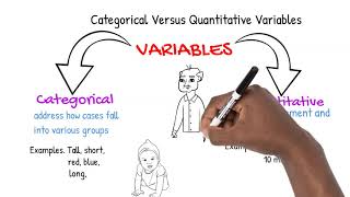 Categorical Versus Quantitative Variables [upl. by Ayamahs]