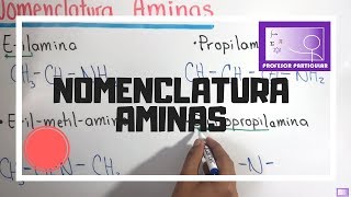 Nomenclatura Aminas  quimica organica [upl. by Fernand]