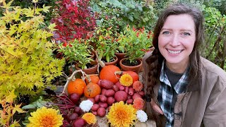 October Allotment Garden Update 2023 [upl. by Edithe]