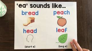 Phonics Lesson ea [upl. by Mot796]