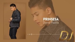 Prinsesa  Daniel Padilla Lyrics  DJ Greatest Hits [upl. by Vey344]