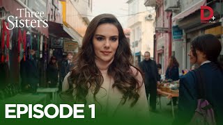 Turkish Drama in Urdu  Three Sisters Episode 1  Üç Kız Kardeş in Hindi  Drama Plus [upl. by Damalus471]