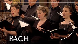 Bach  Motet Singet dem Herrn ein neues Lied BWV 225  MacLeod  Netherlands Bach Society [upl. by Barty]