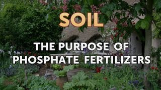 The Purpose of Phosphate Fertilizers [upl. by Florance]