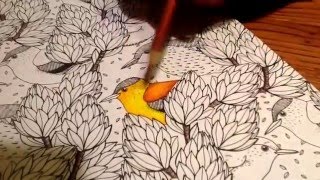 How to use colored pencils on adult coloring books [upl. by Ajiat231]