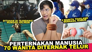 PERTERNAKAN MANUSIA 100 WANITA DIAMBIL TELURNYA [upl. by Jit]