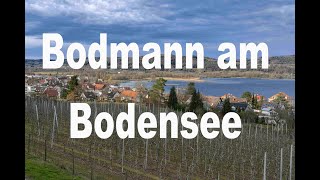 Bodman am Bodensee I Wo wir uns noch erholen können  Reisedoku [upl. by Aruasi388]