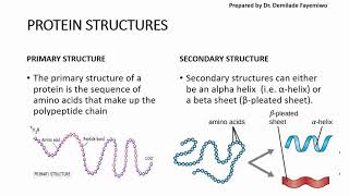 Chapter 23 Biological Molecules  Proteins [upl. by Yancy]