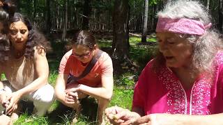 American Wintergreen  Gaultheria procumbens  with Susun Weed [upl. by Nave]