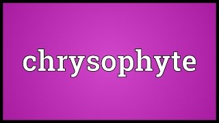 Chrysophyte Meaning [upl. by Atikin]