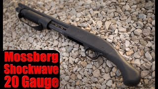 Mossberg Shockwave 20 Gauge First Look [upl. by Moreville862]