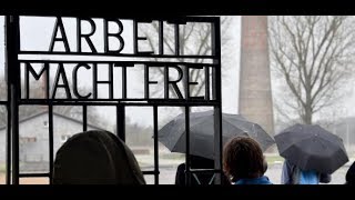 SACHSENHAUSEN AfDGruppe provoziert Besuchsabbruch in KZGedenkstätte [upl. by Enneira662]