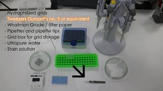 2 Sample preparation negative staining [upl. by Emixam]