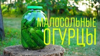 Огурцы малосольные быстрого приготовления Малосольные хрустящие огурцы в банке [upl. by Judon]