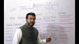 Classification of Proteins [upl. by Sokram]