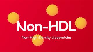 All About Cholesterol amp Lipoproteins LDL HDL VLDL [upl. by Okimik]