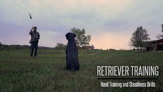 Formal Hand Training and Steadiness With Your Gundog  Hunting Dog Training [upl. by Hnahym]