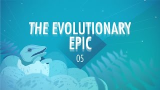 The Evolutionary Epic Crash Course Big History 5 [upl. by Serena670]